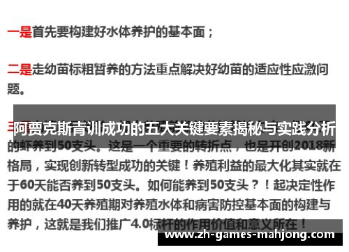 阿贾克斯青训成功的五大关键要素揭秘与实践分析