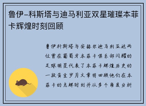 鲁伊-科斯塔与迪马利亚双星璀璨本菲卡辉煌时刻回顾